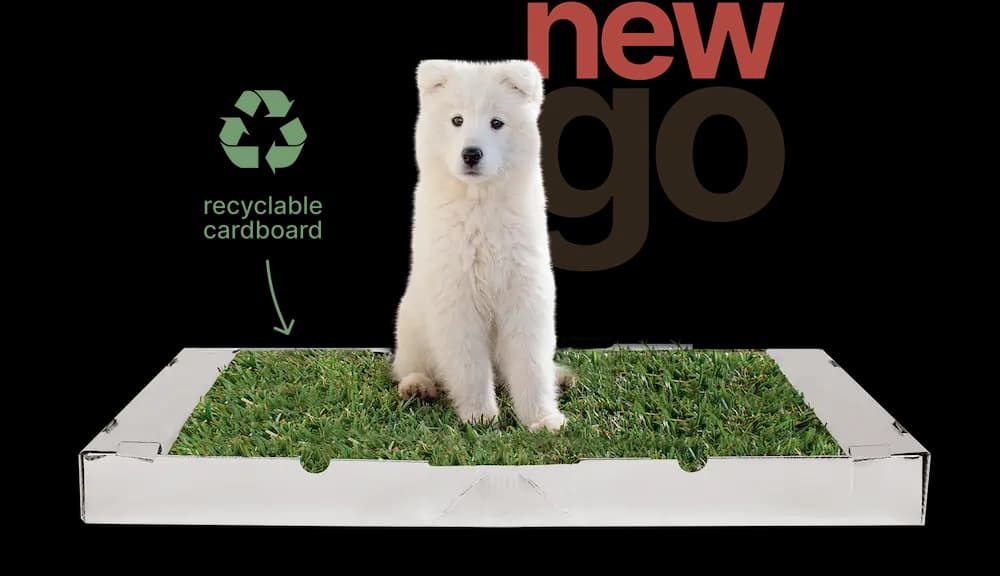 Potty Plant Go, the most convenient disposable dog toilet